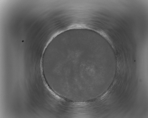 X0000062631382200601041020