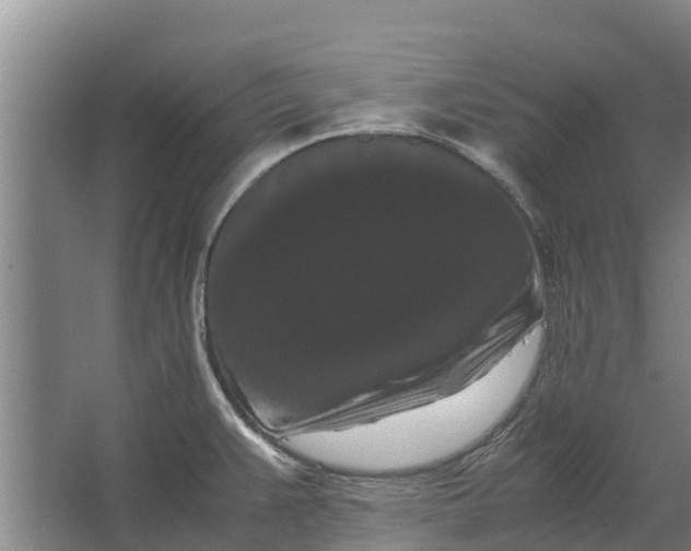 X0000062631383200601041020