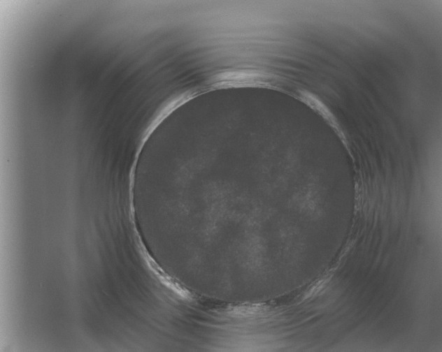 X0000062631386200601041020