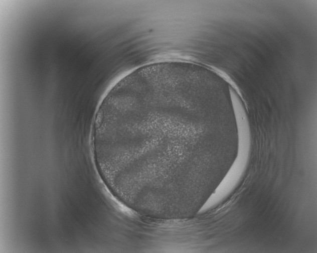 X0000062631387200601041020