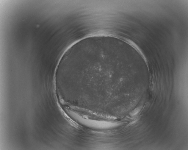 X0000062631388200601041020