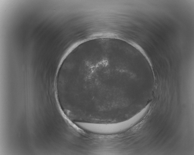 X0000062631389200601041020