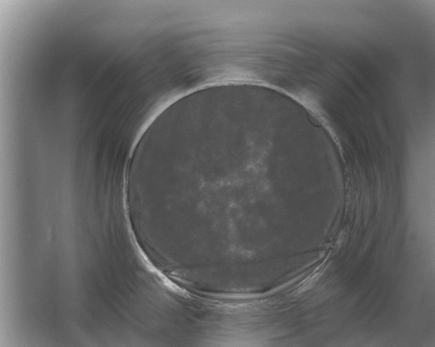 X0000062631390200601041020