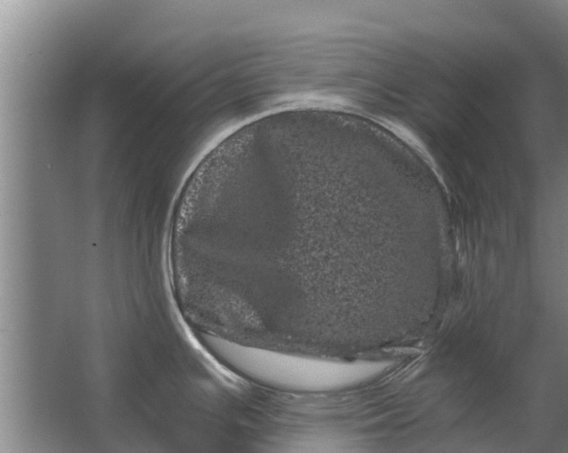 X0000062631391200601041020