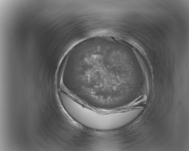 X0000062631392200601041020