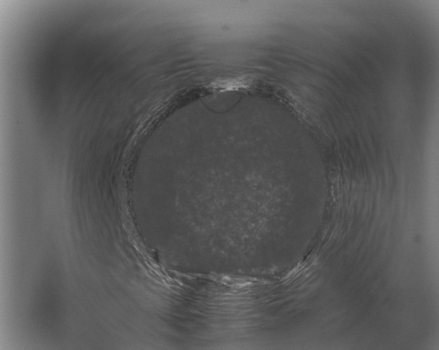 X0000062631393200601041019