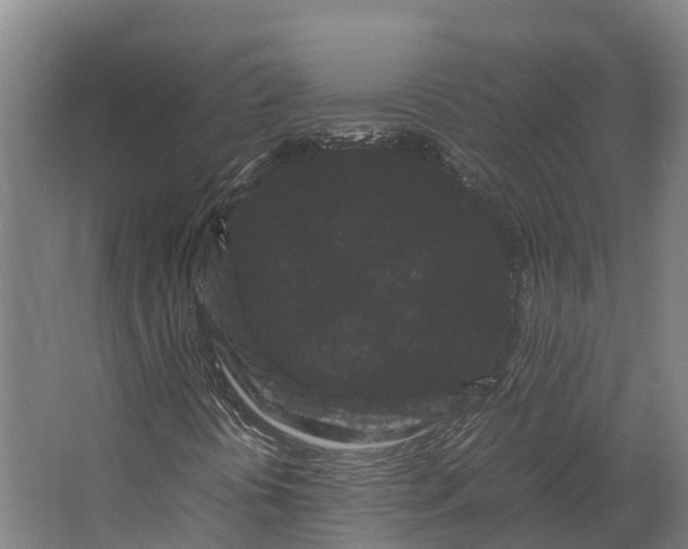 X0000062631394200601041019