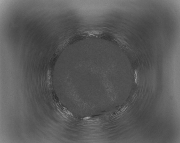 X0000062631395200601041019