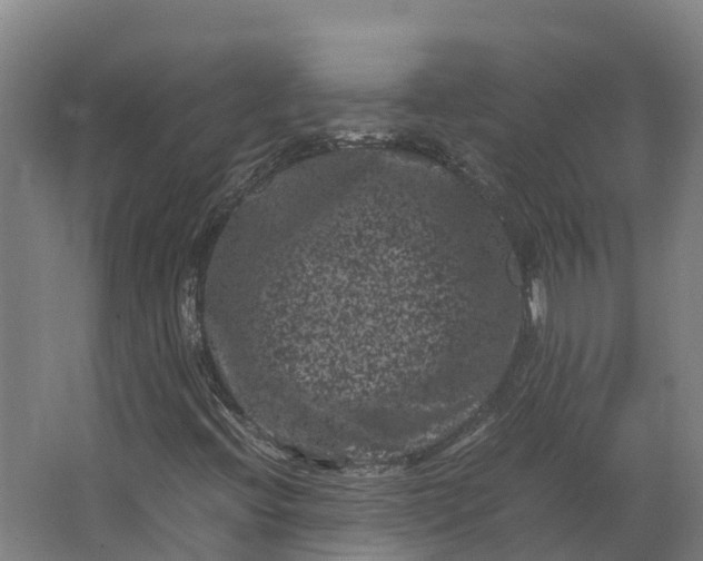 X0000062631396200601041019