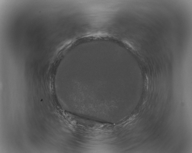 X0000062631398200601041019