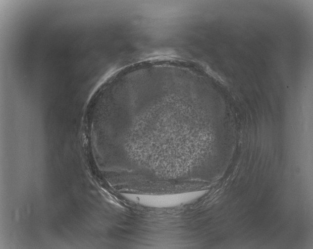 X0000062631400200601041019