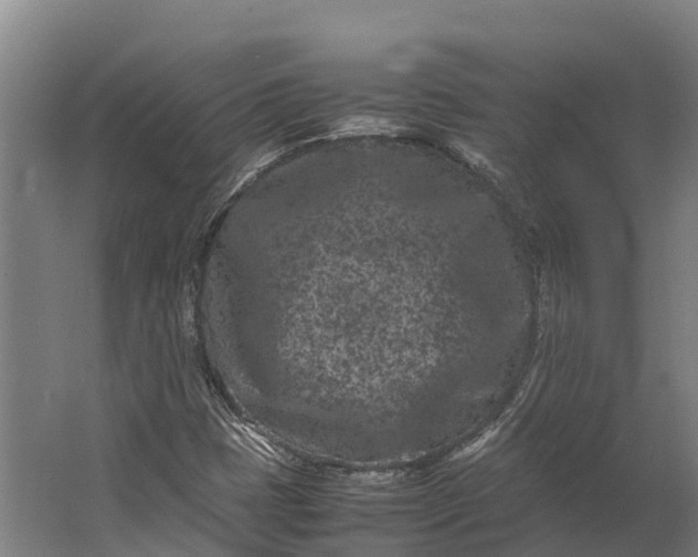 X0000062631401200601041019