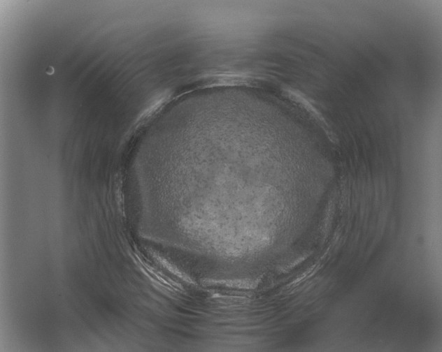 X0000062631403200601041019