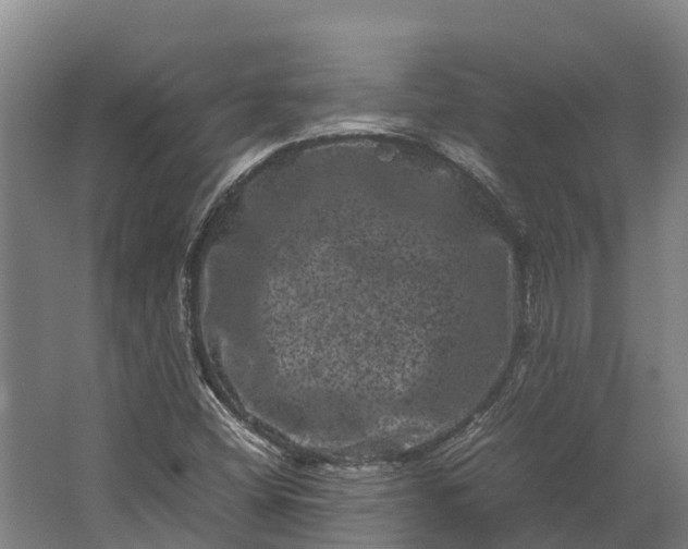 X0000062631404200601041019