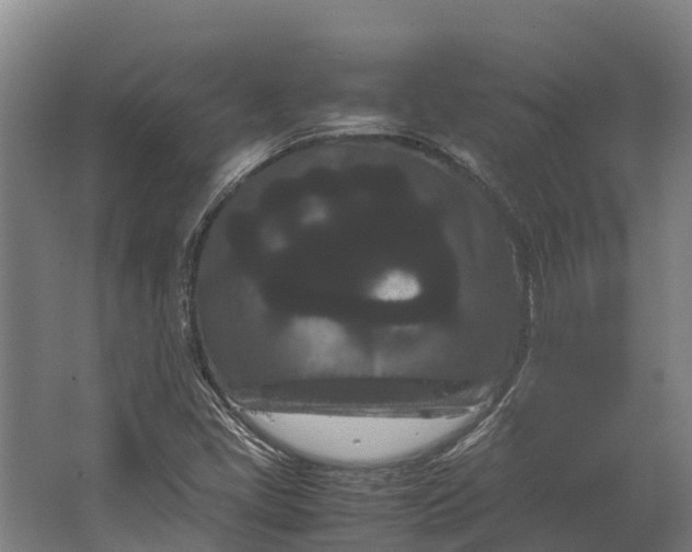 X0000062631405200601041019