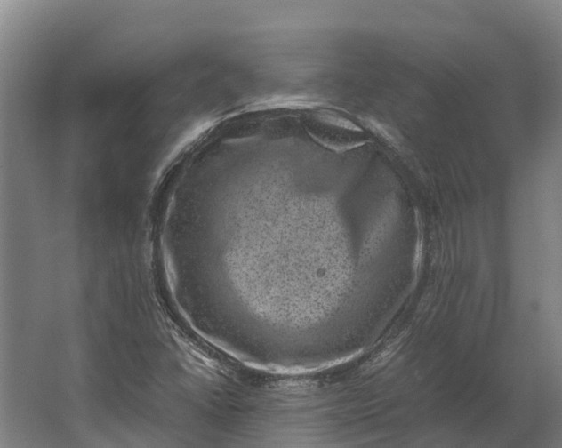 X0000062631406200601041019