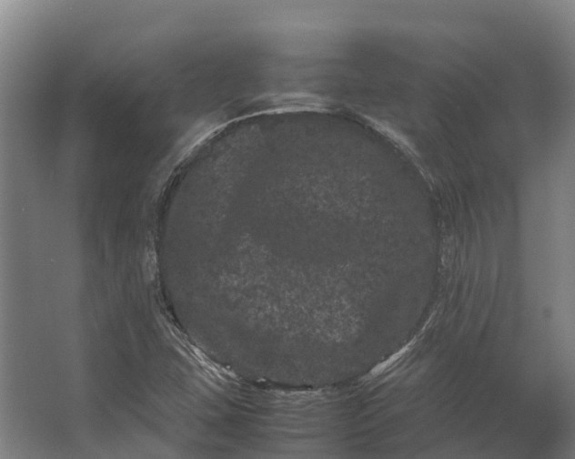 X0000062631407200601041019