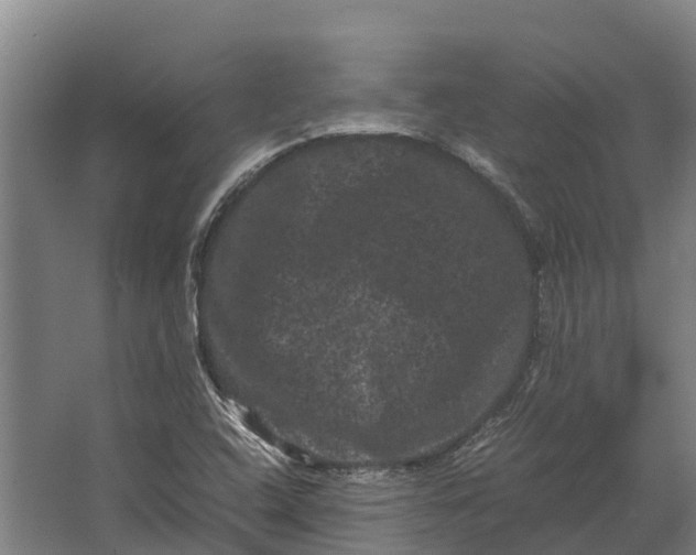 X0000062631408200601041019