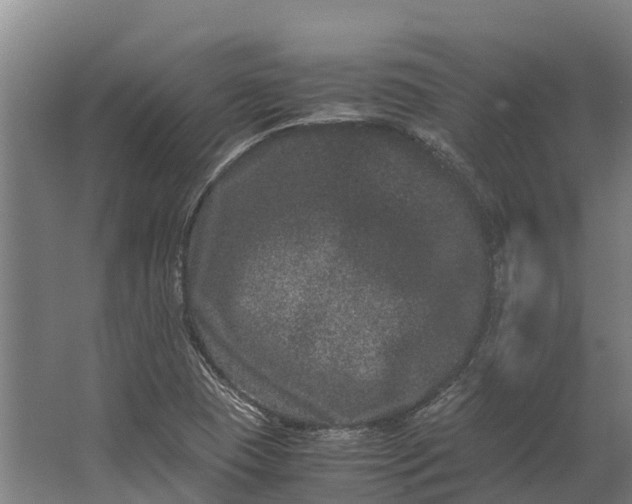 X0000062631409200601041019