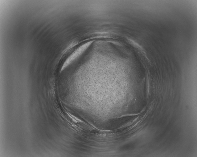 X0000062631411200601041019