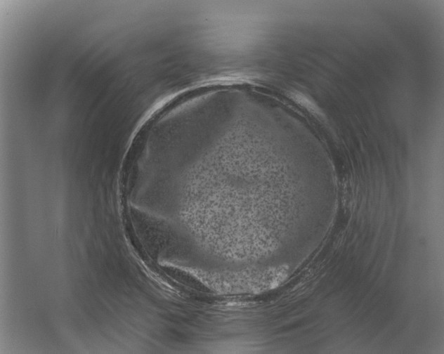 X0000062631412200601041019