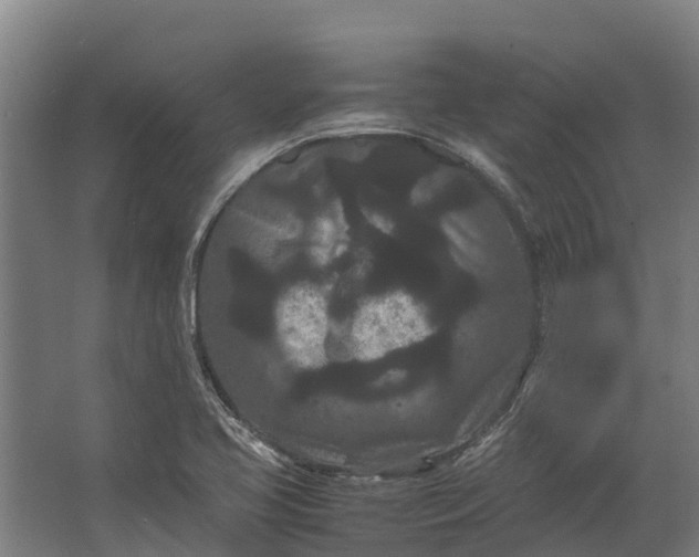 X0000062631413200601041019