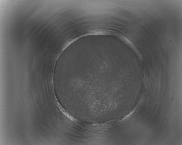 X0000062631417200601041019