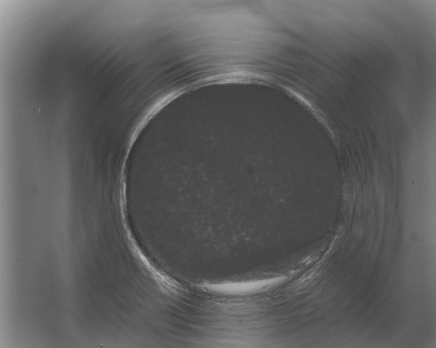 X0000062631418200601041019