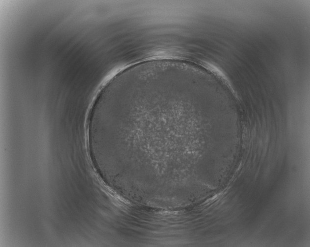 X0000062631419200601041019