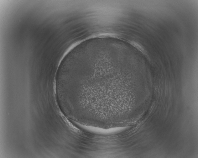 X0000062631420200601041019