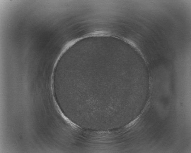 X0000062631421200601041019