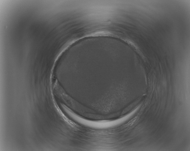 X0000062631422200601041019