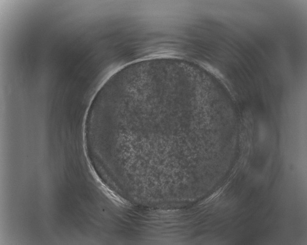 X0000062631423200601041019