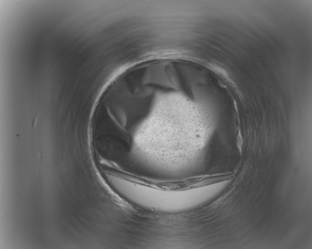 X0000062631424200601041019