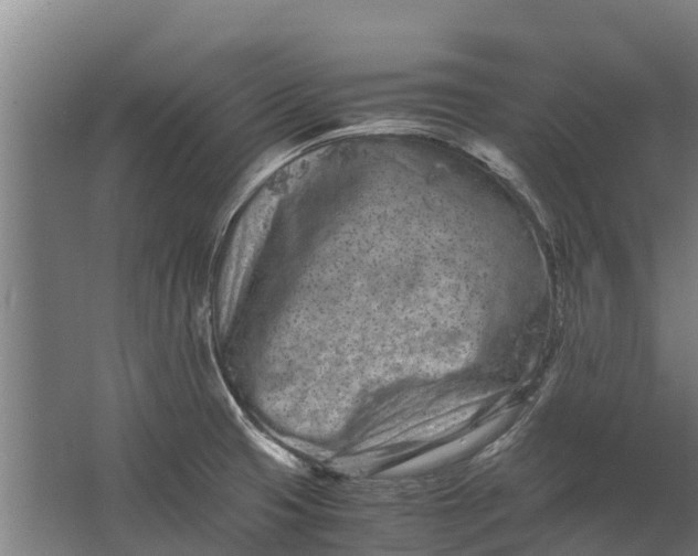 X0000062631425200601041019