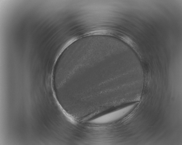 X0000062631426200601041019