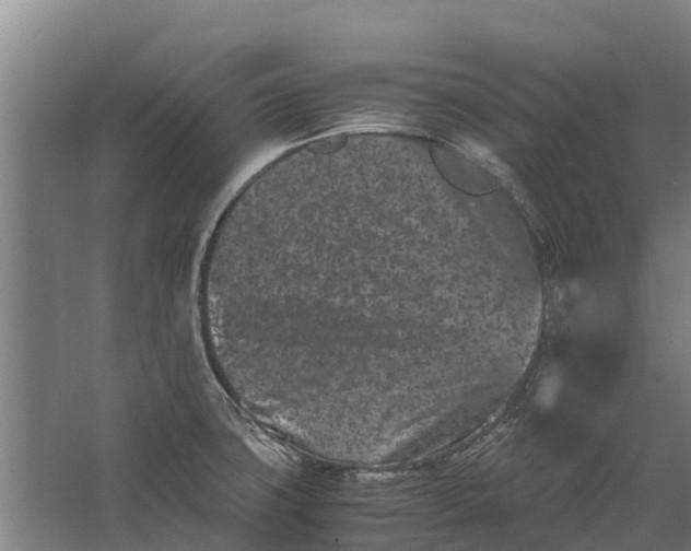 X0000062631427200601041019