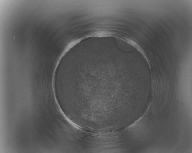 X0000062631429200601041019