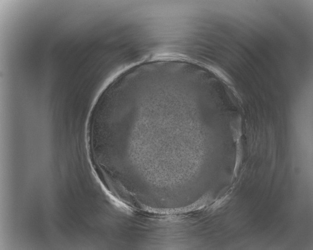 X0000062631430200601041019