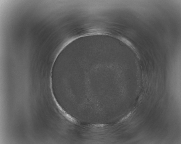 X0000062631431200601041019