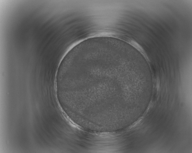 X0000062631436200601041020