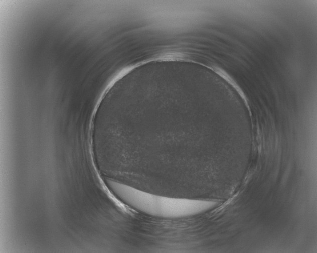 X0000062631437200601041020