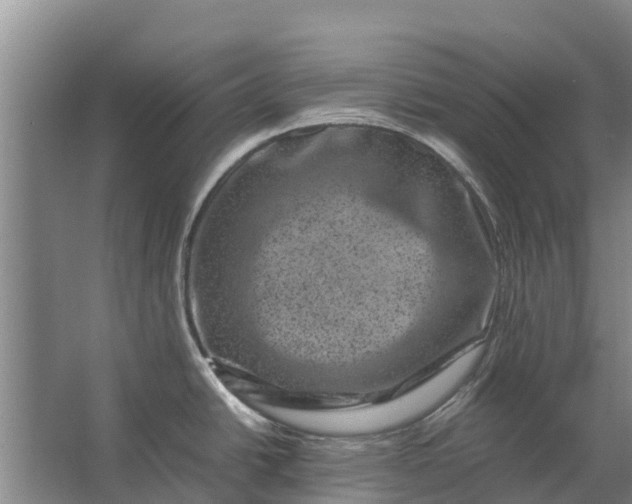 X0000062631438200601041020