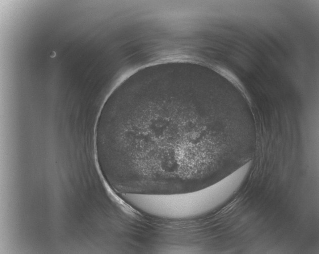 X0000062631439200601041020