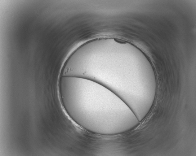 X0000062631440200601041020