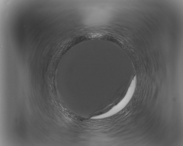 X0000062631441200601041019