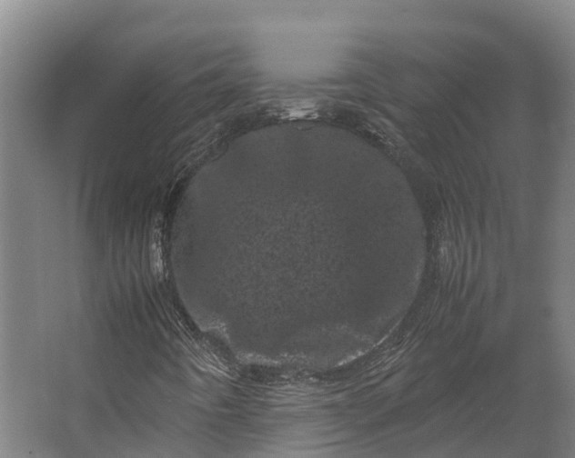 X0000062631442200601041019