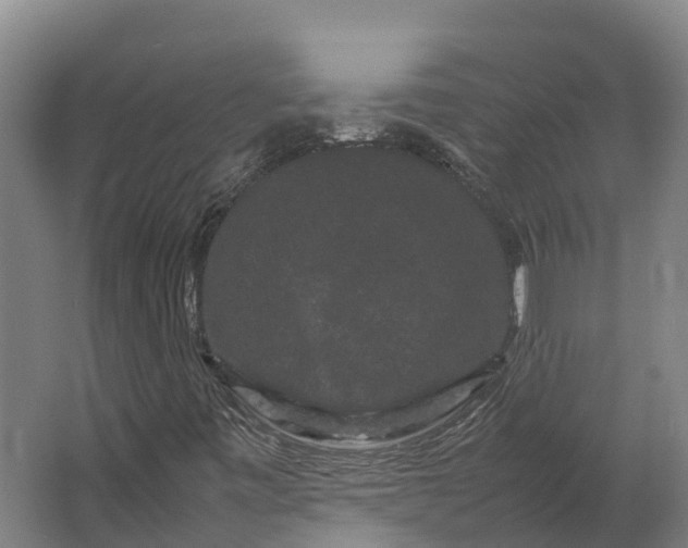 X0000062631443200601041019