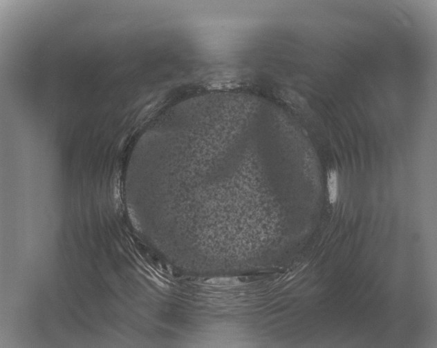 X0000062631444200601041019