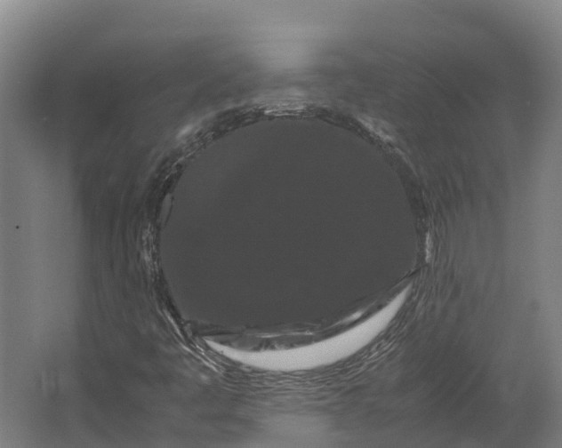 X0000062631445200601041019